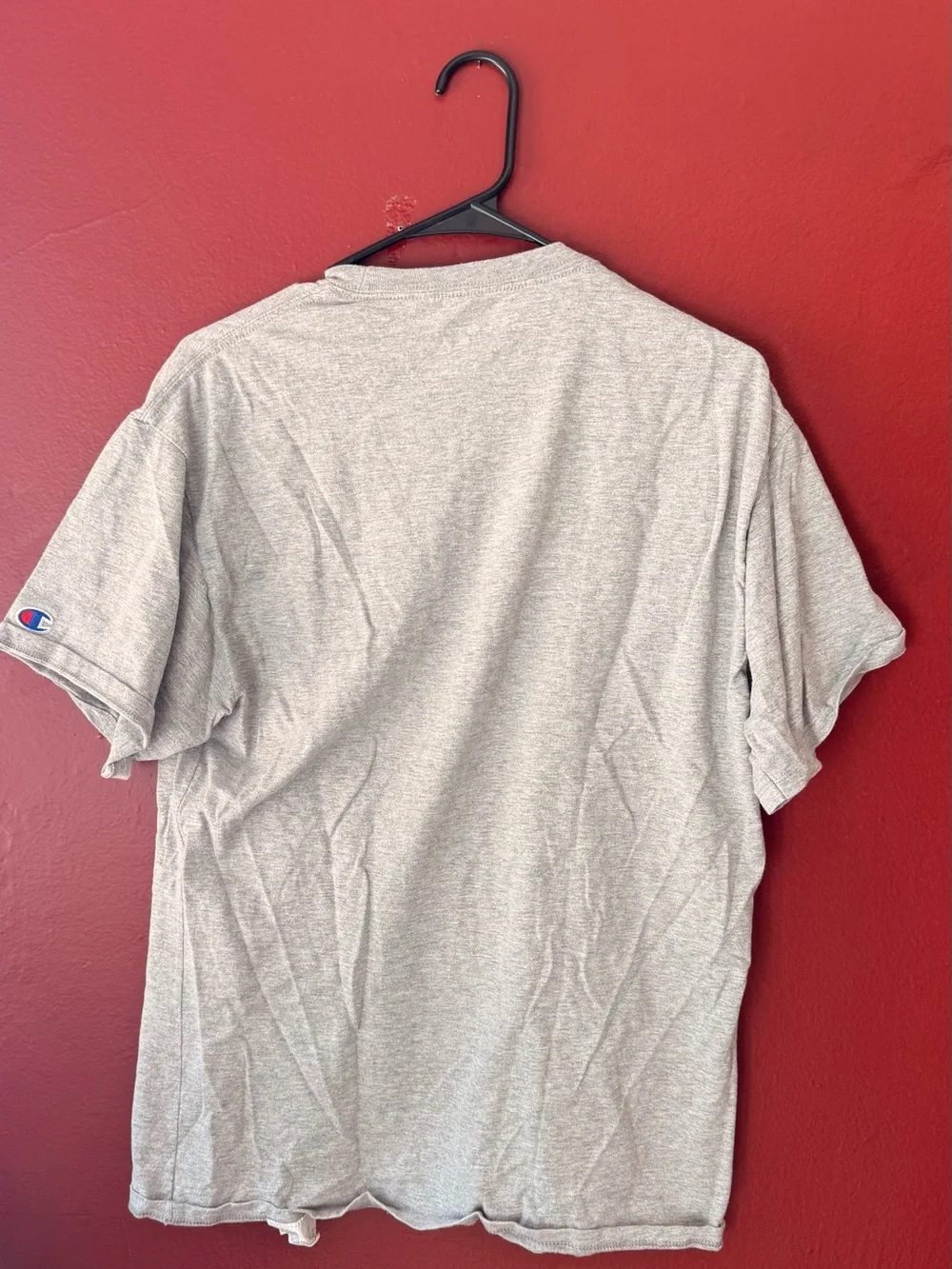 Champion Florida Graphic T-Shirt - Gray - Size L - Picture 3 of 5